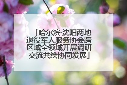 哈尔滨·沈阳两地退役军人服务协会跨区域全领域开展调研交流共绘协同发展