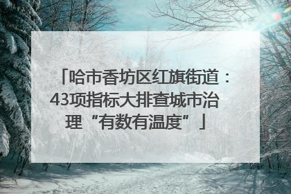 哈市香坊区红旗街道：43项指标大排查城市治理“有数有温度”