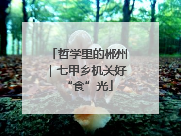 哲学里的郴州｜七甲乡机关好“食”光