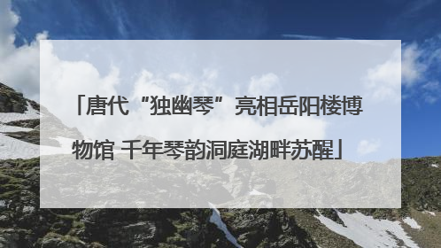 唐代“独幽琴”亮相岳阳楼博物馆 千年琴韵洞庭湖畔苏醒