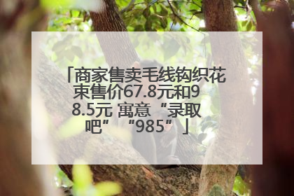商家售卖毛线钩织花束售价67.8元和98.5元 寓意“录取吧”“985”