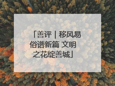 善评｜移风易俗谱新篇 文明之花绽善城
