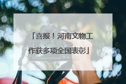 喜报！河南文物工作获多项全国表彰