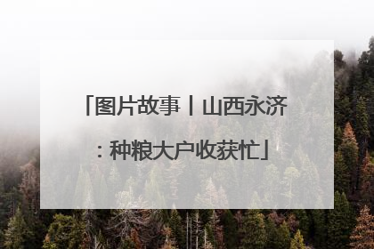图片故事丨山西永济：种粮大户收获忙