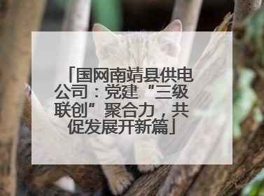 国网南靖县供电公司：党建“三级联创”聚合力，共促发展开新篇