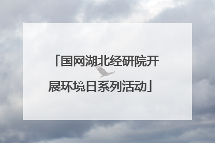 国网湖北经研院开展环境日系列活动