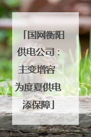 国网衡阳供电公司：主变增容 为度夏供电添保障