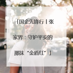 国企先锋行丨张家界：守护平安的那抹“金盾红”