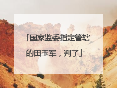 国家监委指定管辖的田玉军，判了
