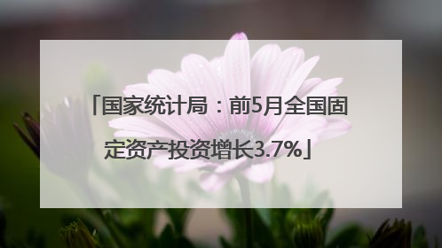 国家统计局：前5月全国固定资产投资增长3.7%