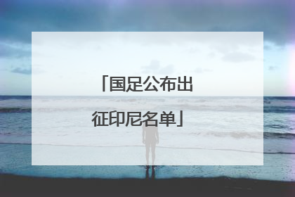 国足公布出征印尼名单