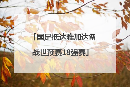 国足抵达雅加达备战世预赛18强赛