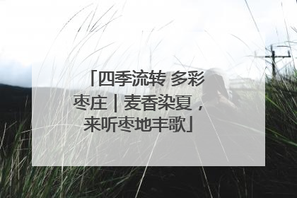 四季流转 多彩枣庄｜麦香染夏，来听枣地丰歌