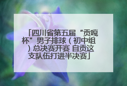 四川省第五届“贡嘎杯”男子排球（初中组）总决赛开赛 自贡这支队伍打进半决赛