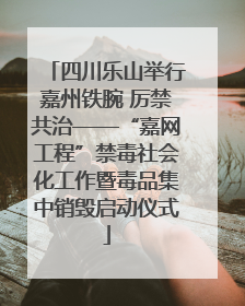 四川乐山举行嘉州铁腕 厉禁共治——“嘉网工程”禁毒社会化工作暨毒品集中销毁启动仪式