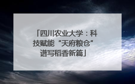 四川农业大学：科技赋能“天府粮仓”谱写稻香新篇