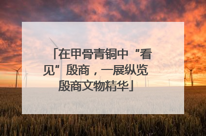 在甲骨青铜中“看见”殷商，一展纵览殷商文物精华