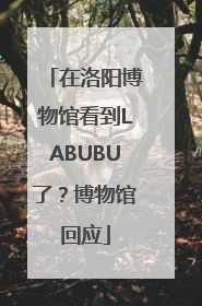 在洛阳博物馆看到LABUBU了？博物馆回应