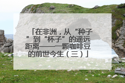 在非洲，从“种子”到“杯子”的遥远距离——一颗咖啡豆的前世今生（三）