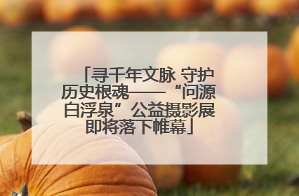 寻千年文脉 守护历史根魂——“问源白浮泉”公益摄影展即将落下帷幕