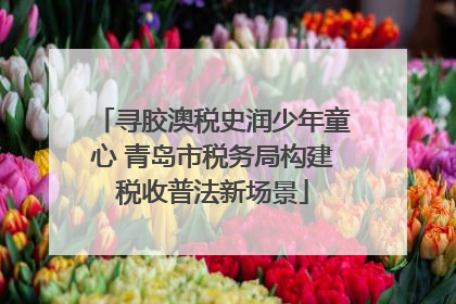 寻胶澳税史润少年童心 青岛市税务局构建税收普法新场景