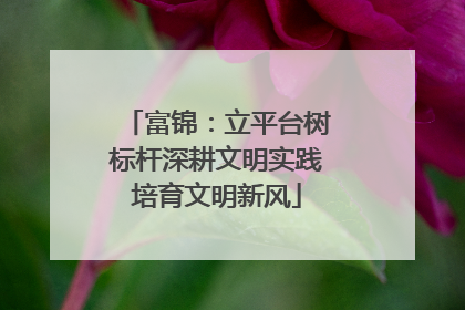 富锦：立平台树标杆深耕文明实践培育文明新风