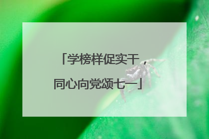 学榜样促实干，同心向党颂七一