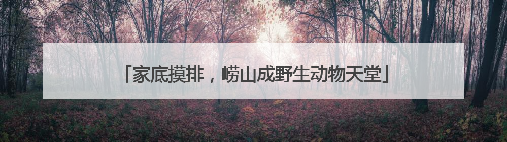家底摸排，崂山成野生动物天堂