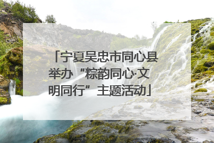 宁夏吴忠市同心县举办“粽韵同心·文明同行”主题活动