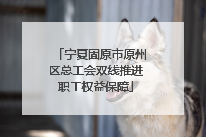 宁夏固原市原州区总工会双线推进职工权益保障