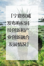 宁夏权威发布枸杞科技创新和产业创新融合发展情况
