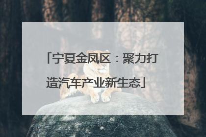 宁夏金凤区：聚力打造汽车产业新生态