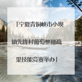 宁夏青铜峡市小坝镇先锋村葡萄整穗疏果技能竞赛举办