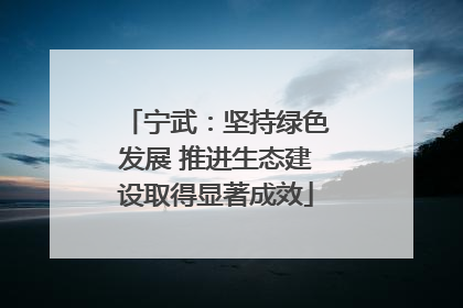 宁武：坚持绿色发展 推进生态建设取得显著成效