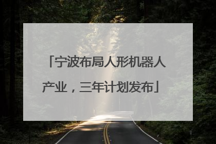 宁波布局人形机器人产业，三年计划发布