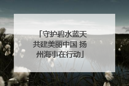 守护碧水蓝天 共建美丽中国 扬州海事在行动