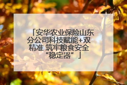 安华农业保险山东分公司科技赋能+双精准 筑牢粮食安全“稳定器”