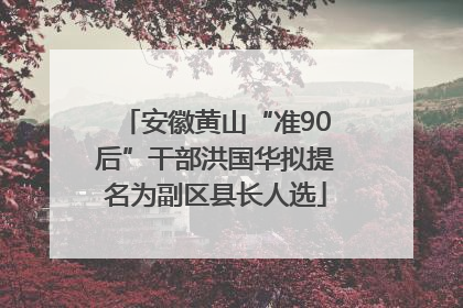 安徽黄山“准90后”干部洪国华拟提名为副区县长人选