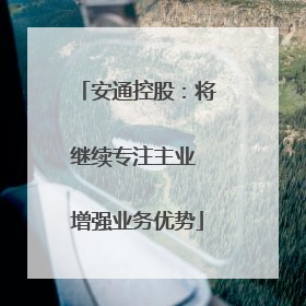 安通控股：将继续专注主业 增强业务优势