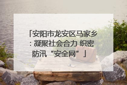 安阳市龙安区马家乡：凝聚社会合力 织密防汛“安全网”