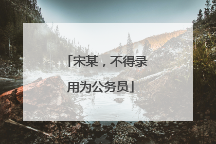 宋某，不得录用为公务员