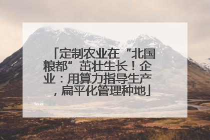 定制农业在“北国粮都”茁壮生长！企业：用算力指导生产，扁平化管理种地