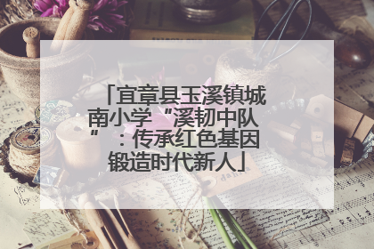 宜章县玉溪镇城南小学“溪韧中队”：传承红色基因 锻造时代新人