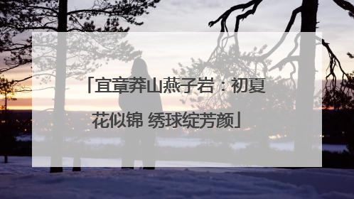 宜章莽山燕子岩：初夏花似锦 绣球绽芳颜