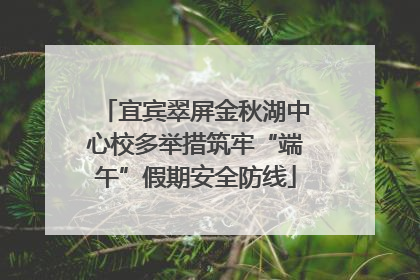宜宾翠屏金秋湖中心校多举措筑牢“端午”假期安全防线