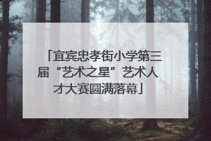 宜宾忠孝街小学第三届“艺术之星”艺术人才大赛圆满落幕