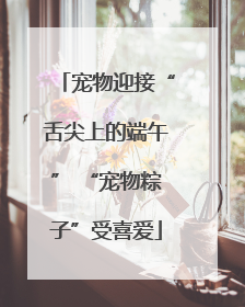 宠物迎接“舌尖上的端午” “宠物粽子”受喜爱