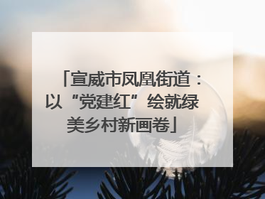 宣威市凤凰街道：以“党建红”绘就绿美乡村新画卷