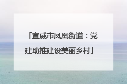 宣威市凤凰街道：党建助推建设美丽乡村