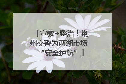 宣教+整治！荆州交警为两湖市场“安全护航”